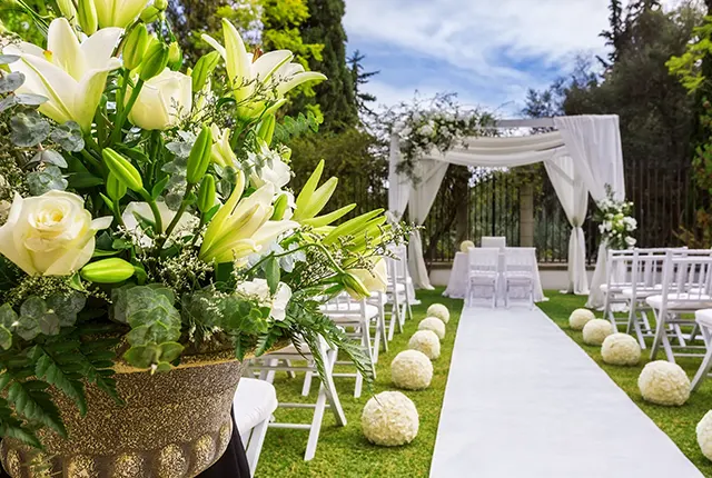 Modern minimalist and clean lines