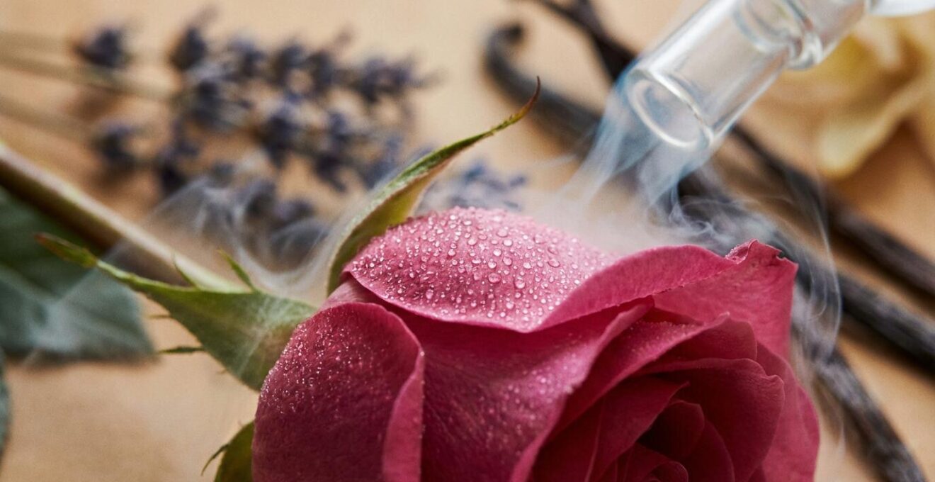 Macro shot of essential oil diffusing through delicate flower petals with soft bokeh background